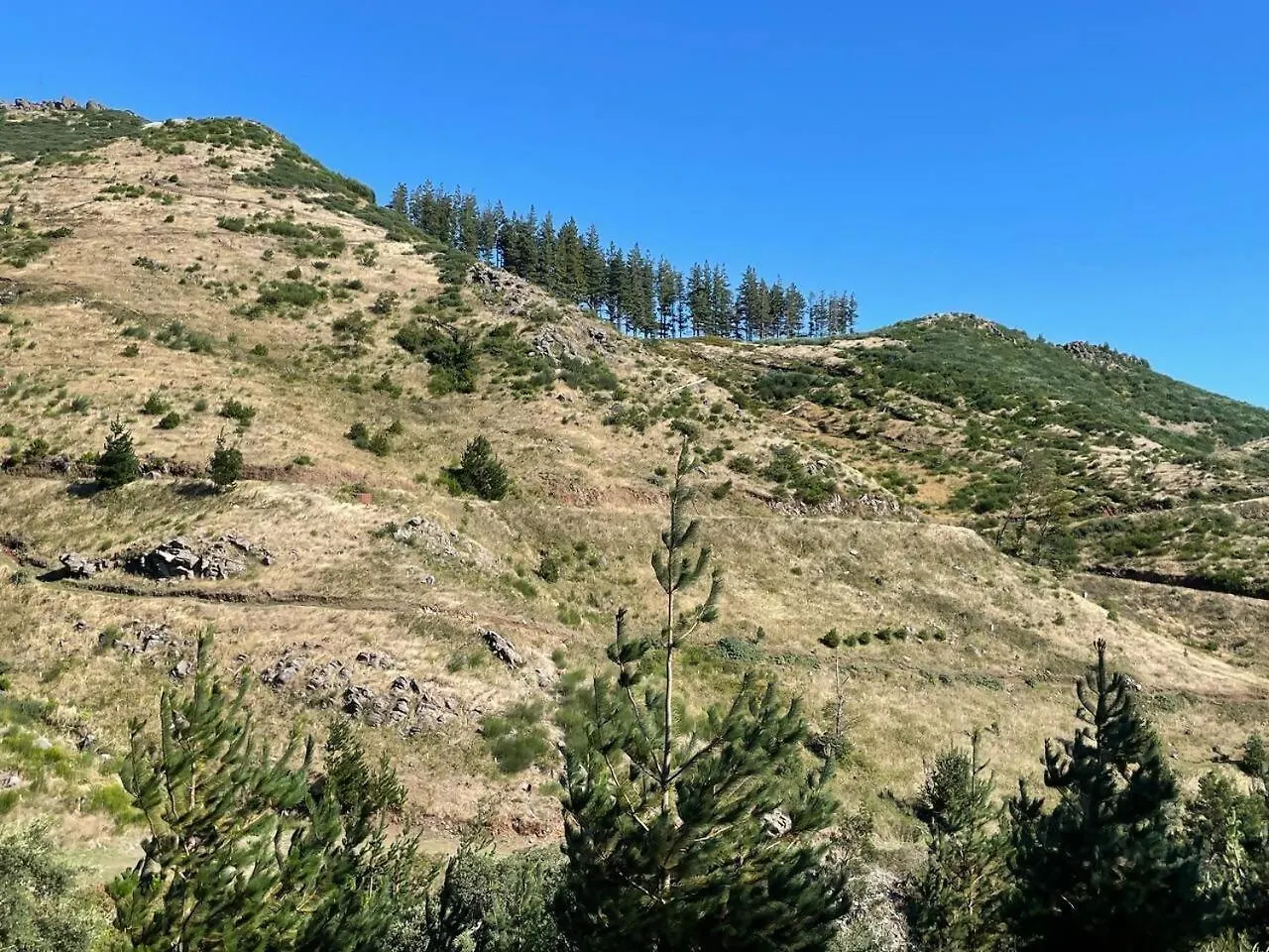 Mountain Eco Shelter 6 Otel Funchal Lüks kamp alanı